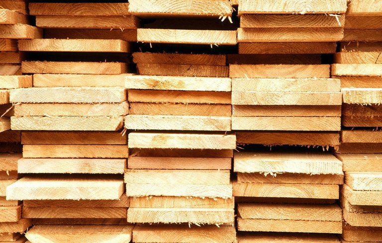 Schön Holzhandel | Ihr Holzhandel mit Herz und Kompetenz in Holz