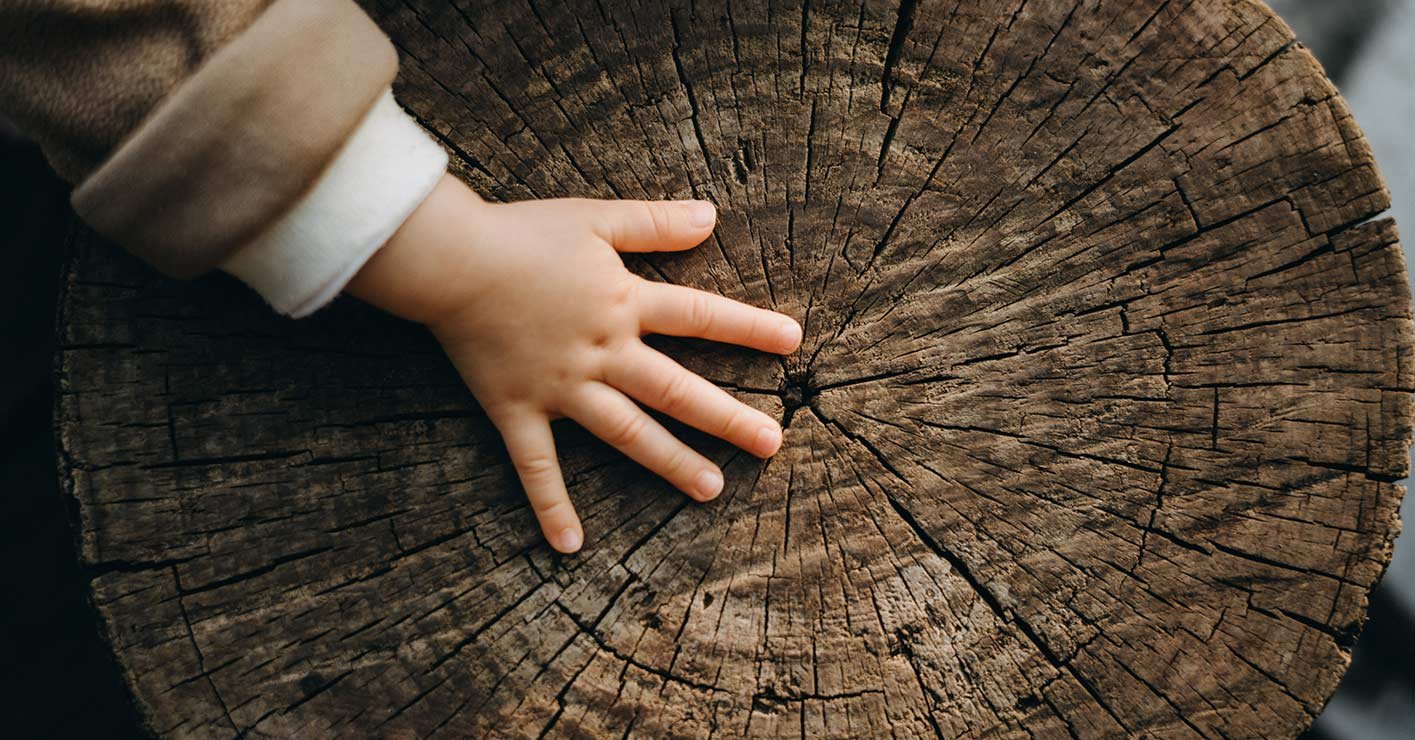 Schön Holzhandel Ihr Holzhandel mit Herz und Kompetenz in Holz